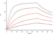 Recombinant Human FcRn Heterodimer (C-6His)