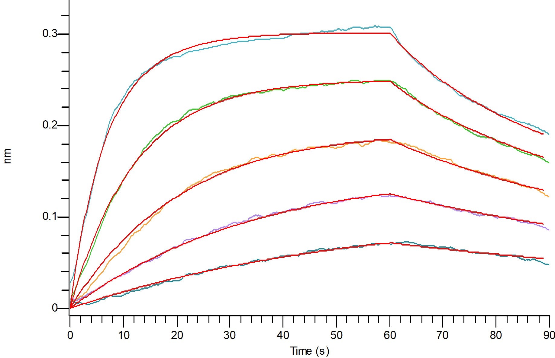 Recombinant Human FcRn Heterodimer (C-6His)