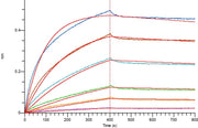 Anti-Human AFP Antibody