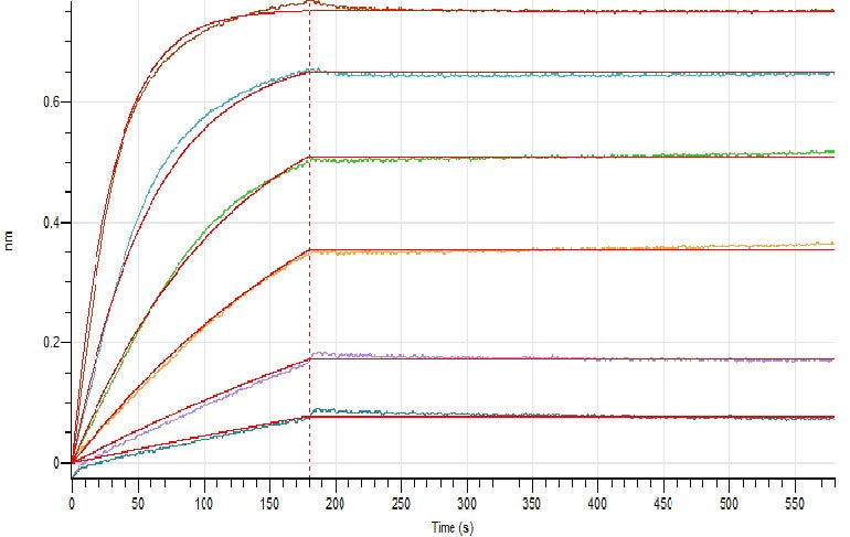 Recombinant Human B2M (C-6His)