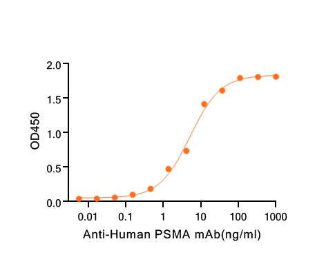 Recombinant Human PSMA (N-6His)