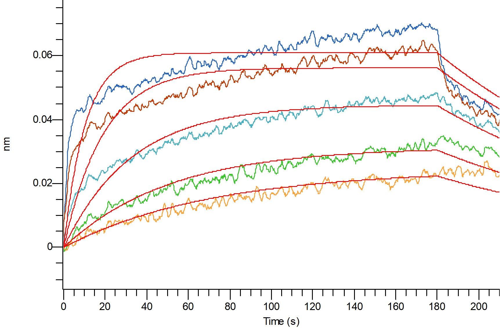 Recombinant Human TfR (N-6His)