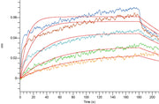 Recombinant Human TfR (N-6His)