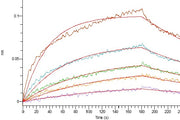 Recombinant Human ANGPTL7 (C-10His)