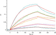 Recombinant Cynomolgus CTLA-4 (C-6His)