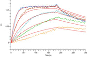Recombinant Human CTLA-4 (C-Flag)