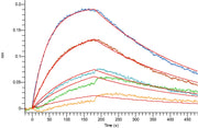 Recombinant Human Mucin-1 (890-1158, C-6His)