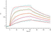 Recombinant Mouse CD64 (C-6His)