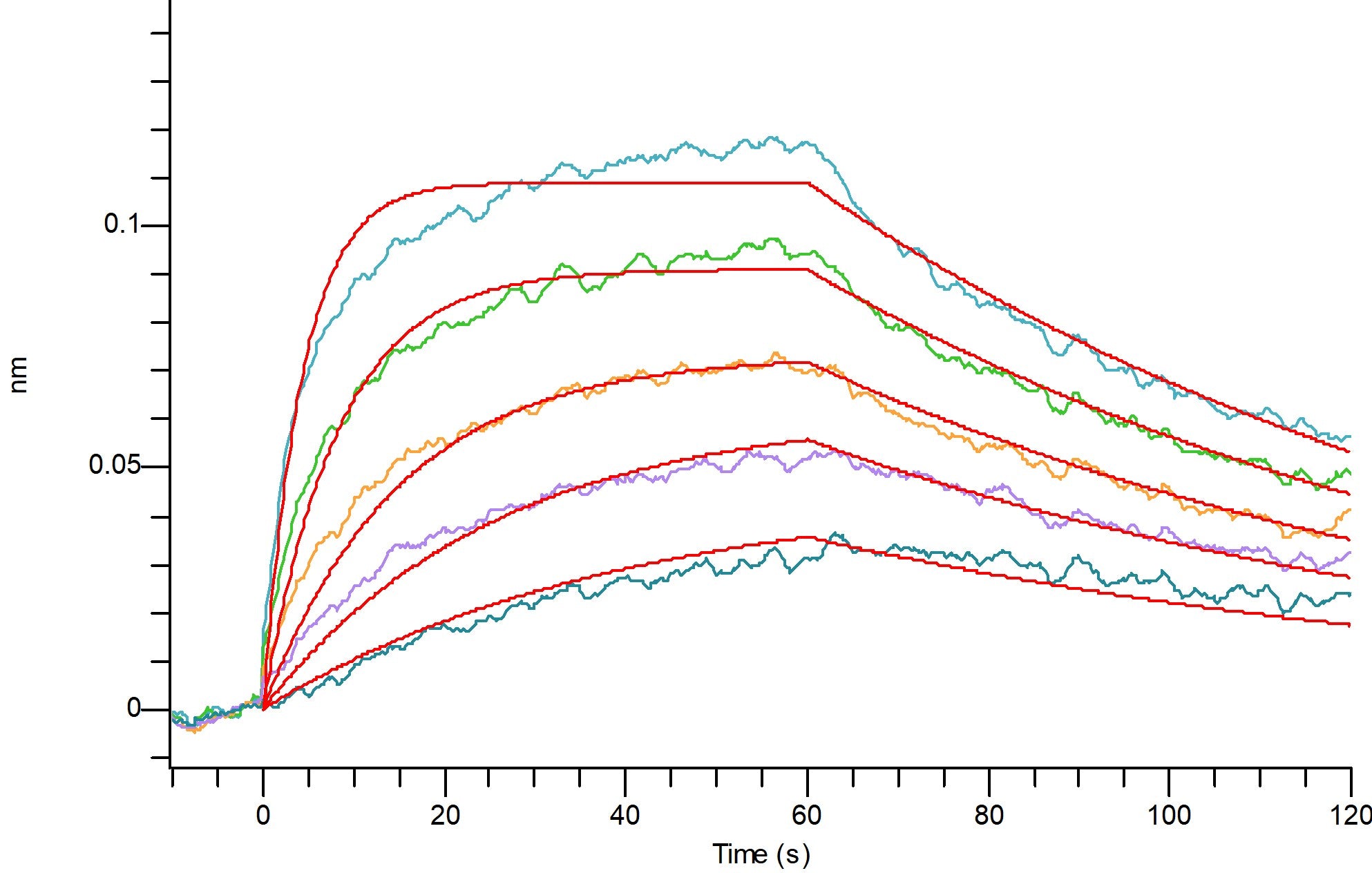 Recombinant Mouse CD64 (C-6His)