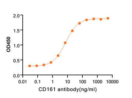 Recombinant Human CD161 (C-6His)