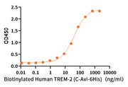 Biotinylated Human TREM-2 (C-Avi-6His)