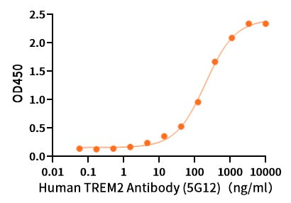 Recombinant Human TREM2 (C-Fc)