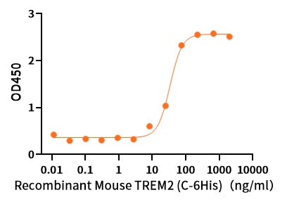 Recombinant Mouse TREM2 (C-6His)