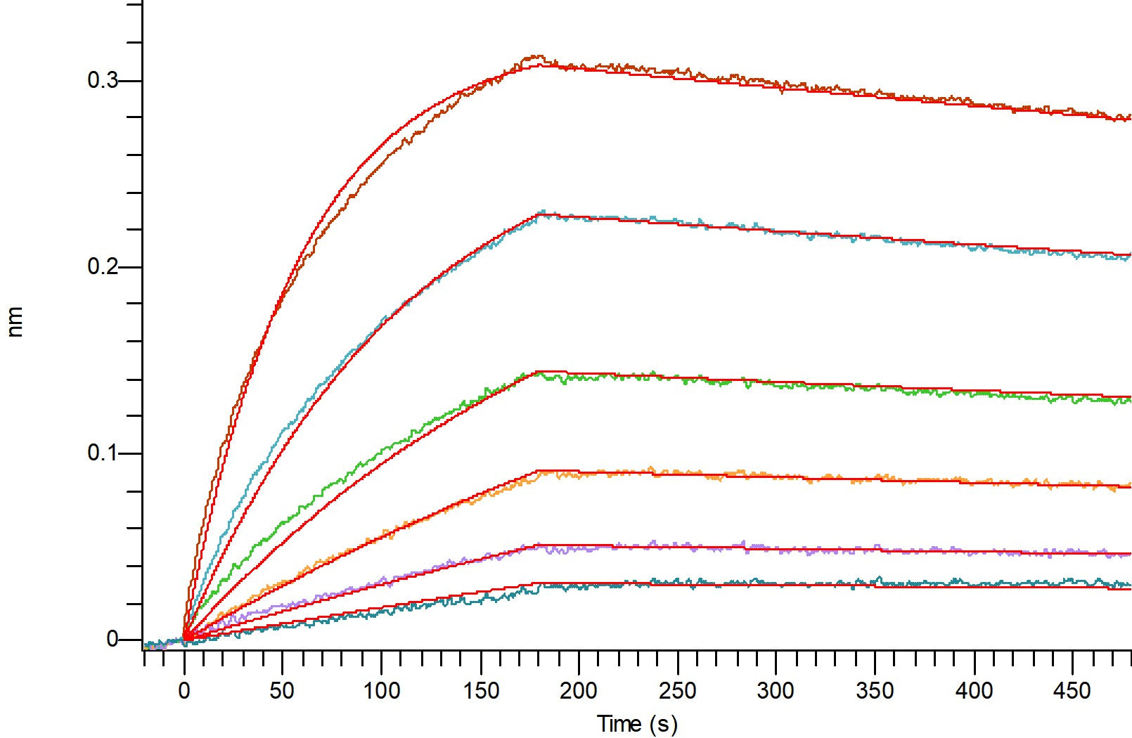 Recombinant Cynomolgus HER2 (C-6His)
