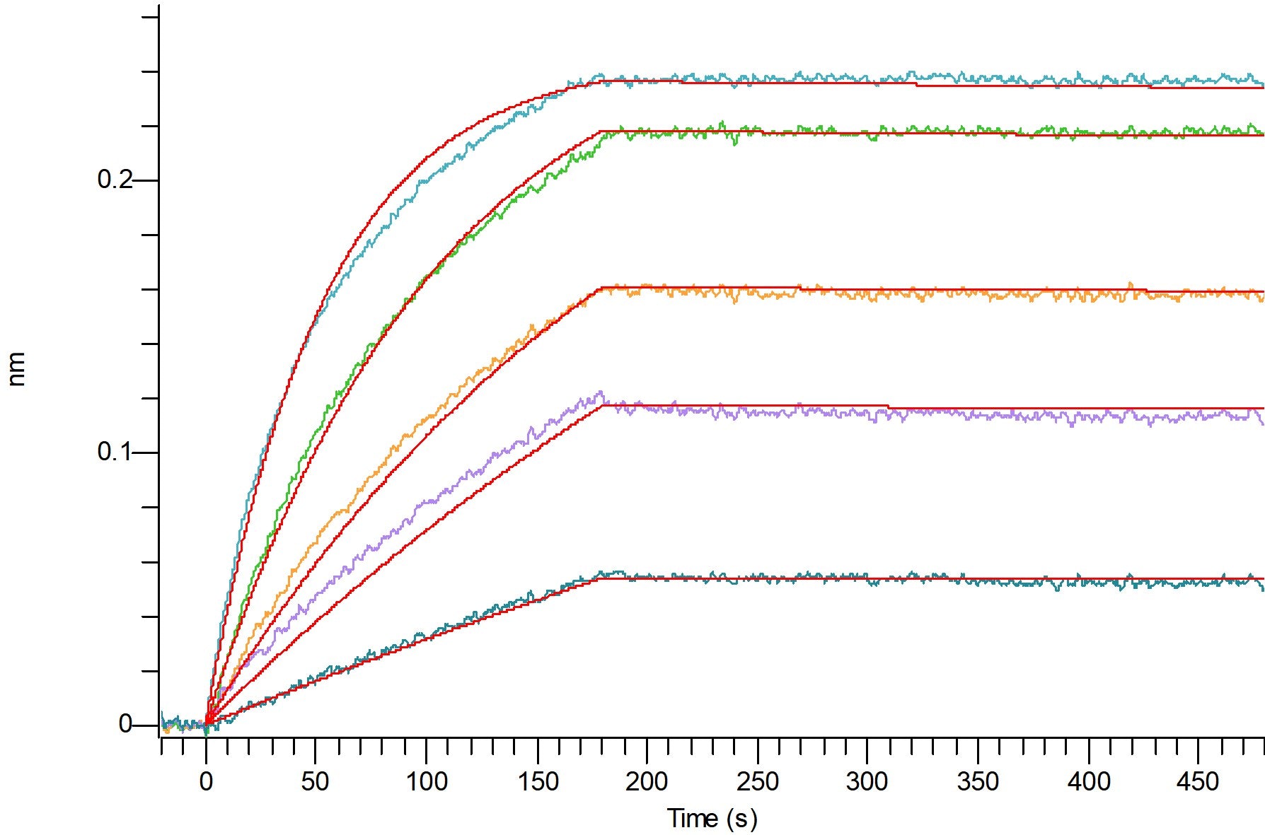 Recombinant Cynomolgus HER2 (C-Fc)