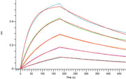 Recombinant Human IL-6RA (C-Fc)