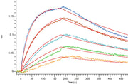 Recombinant Human TF (C-6His)