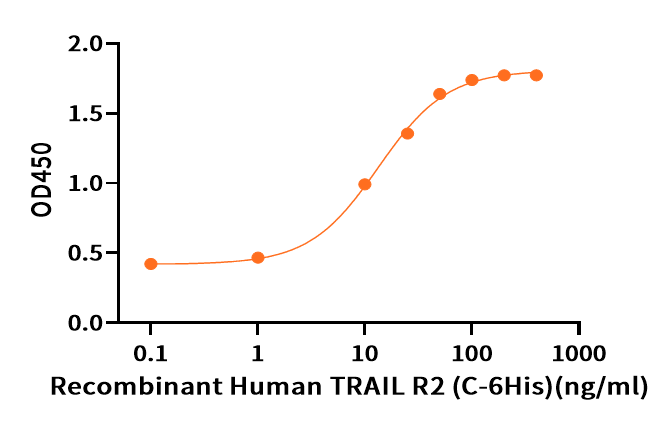 Recombinant Human TRAIL R2 (C-6His)