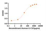Recombinant Human G-CSF