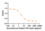 Recombinant Rabbit TNF alpha