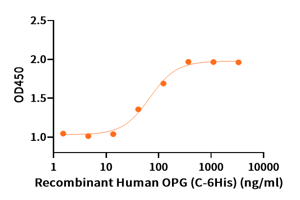 Recombinant Human OPG (C-6His)