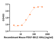 Recombinant Mouse PDGF-BB (C-6His)