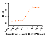 Recombinant Mouse IL-13 (106AA)