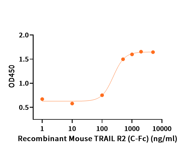 Recombinant Mouse TRAIL R2 (C-Fc)