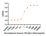 Recombinant Human TPO (N, C-6His)