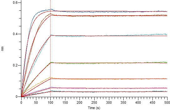 Anti-Human CD40L Antibody (RUP_bio, Research Grade)