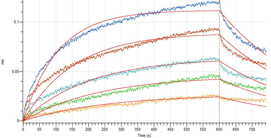 Anti-Human Siglec-2 Antibody (PIN_bio, Research Grade)