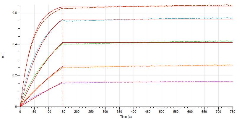 Anti-Human IL23-P19 Antibody (GUS_bio, Research Grade)