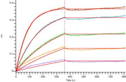 Anti-Human IL-17RA Antibody (BRO_bio, Research Grade)