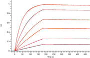 Anti-Human FAP Antibody (SIB_bio, Research Grade)