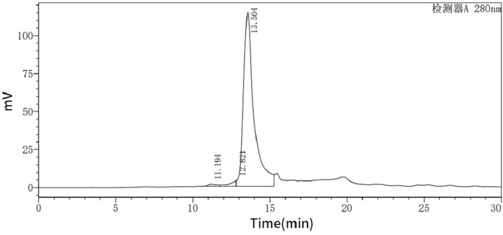 Recombinant Human/Mouse/Rat GDF-11
