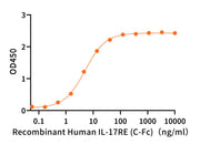 Recombinant Human IL-17RE (C-Fc)