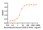 Anti-Human CD20×CD3 Antibody (MOS_bio, Research Grade)