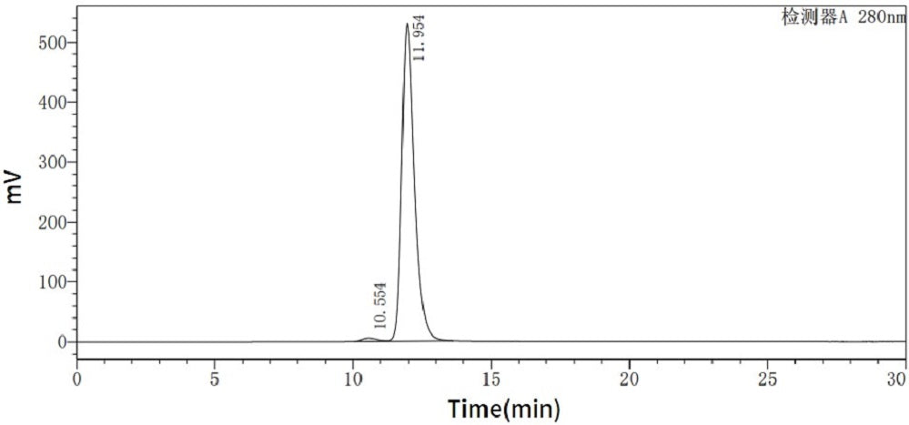 Anti-Human Integrin Antibody (NAT_bio, Research Grade)