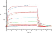 Recombinant Human CXCL12 (68AA)