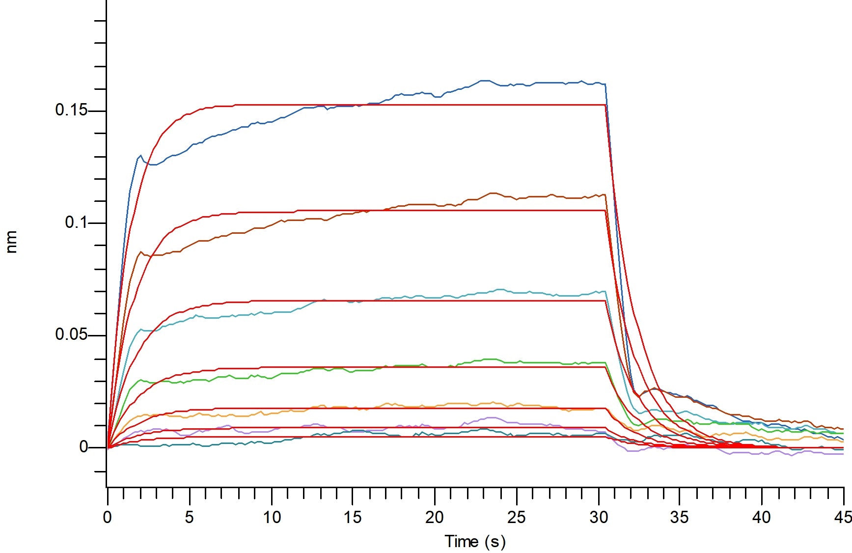 Recombinant Human CXCR4 (N-Fc)