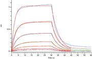 Recombinant Human LILRB4 (C-Fc)