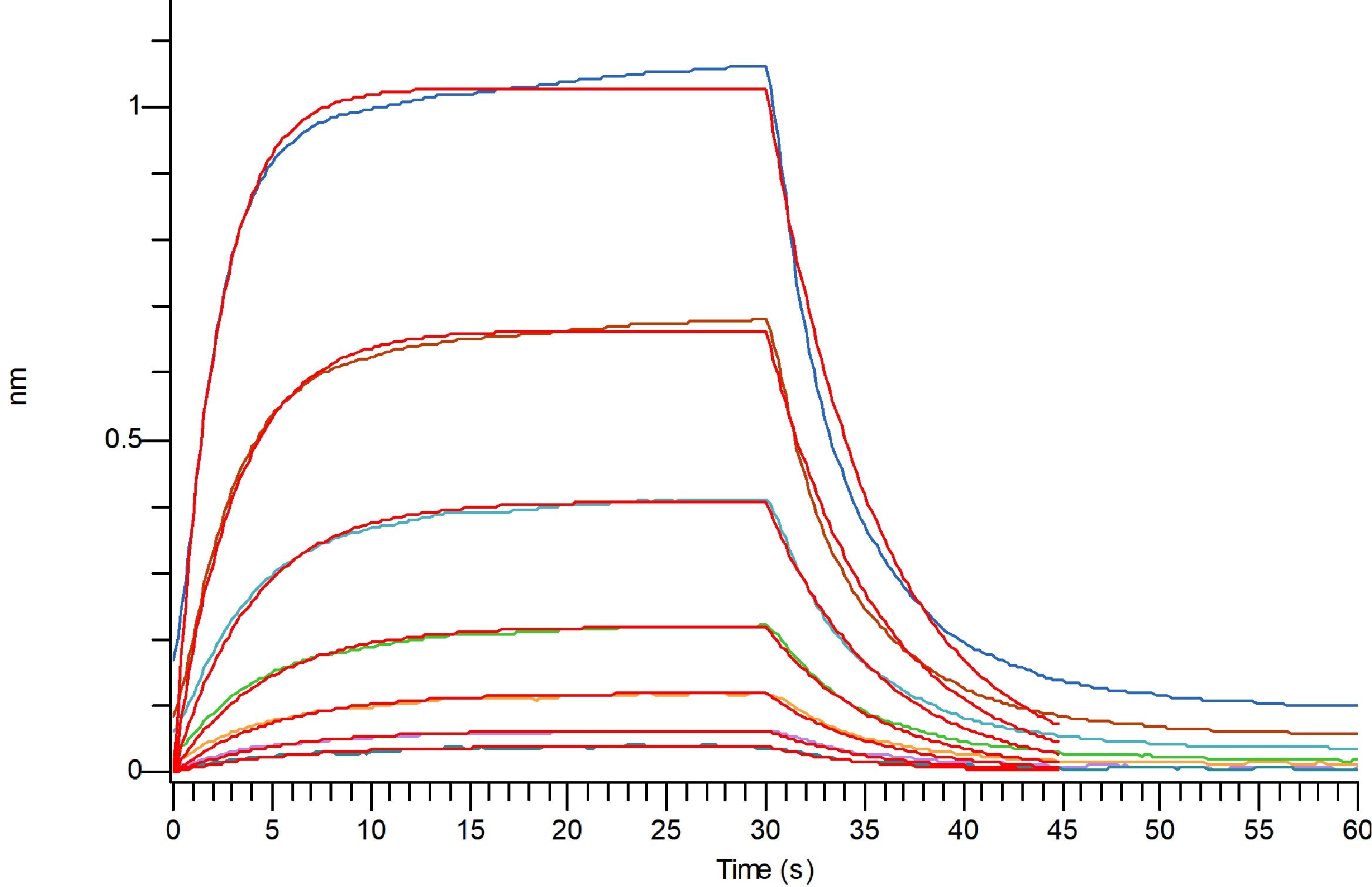 Recombinant Human LILRB4 (C-Fc)