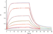 Recombinant Human LILRB4 (C-6His)