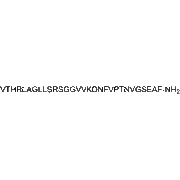 Rat CGRP-(8-37)