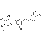 Rhapontin