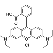 Rhodamine B