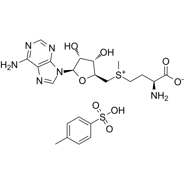 S-Adenosyl-L-methionine tosylate