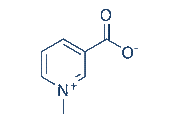 Trigonelline chemical structure