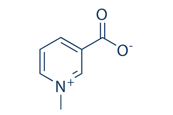 Trigonelline chemical structure