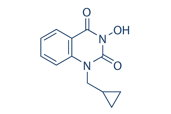 FEN1-IN-4 chemical structure